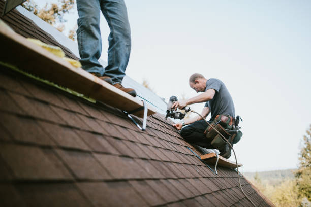 Best Flat Roof Repair Services  in Mount Rainier, MD
